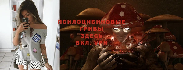 MDMA Premium VHQ Гвардейск