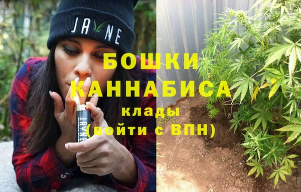 PSILOCYBIN Новодвинск
