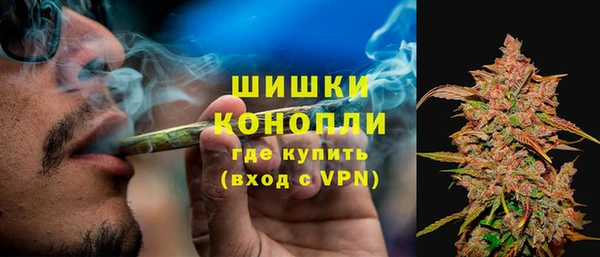 PSILOCYBIN Новодвинск