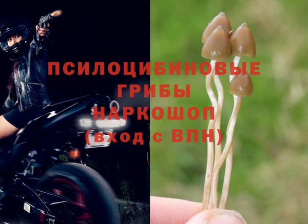 МДМА Новозыбков
