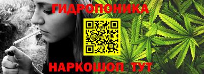 СК Кингисепп