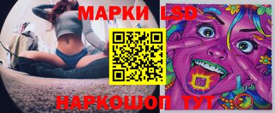 СК Кингисепп