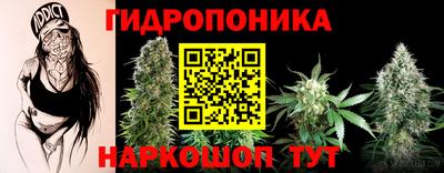 скорость Кинель