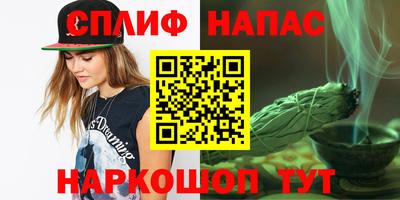 СК Кингисепп