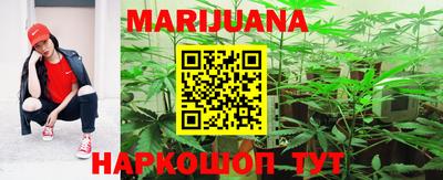 СК Кингисепп