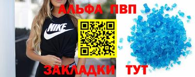 СК Кингисепп