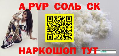 СК Кингисепп