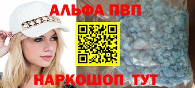 СК Кингисепп