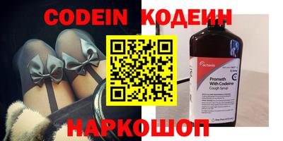 СК Кингисепп