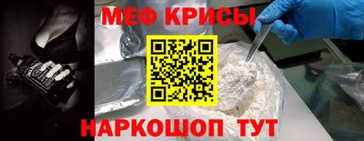 СК Кингисепп