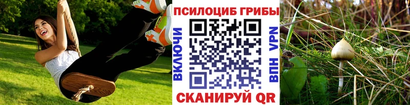 дарнет шоп  Арзамас  mega сайт  Галлюциногенные грибы мицелий 
