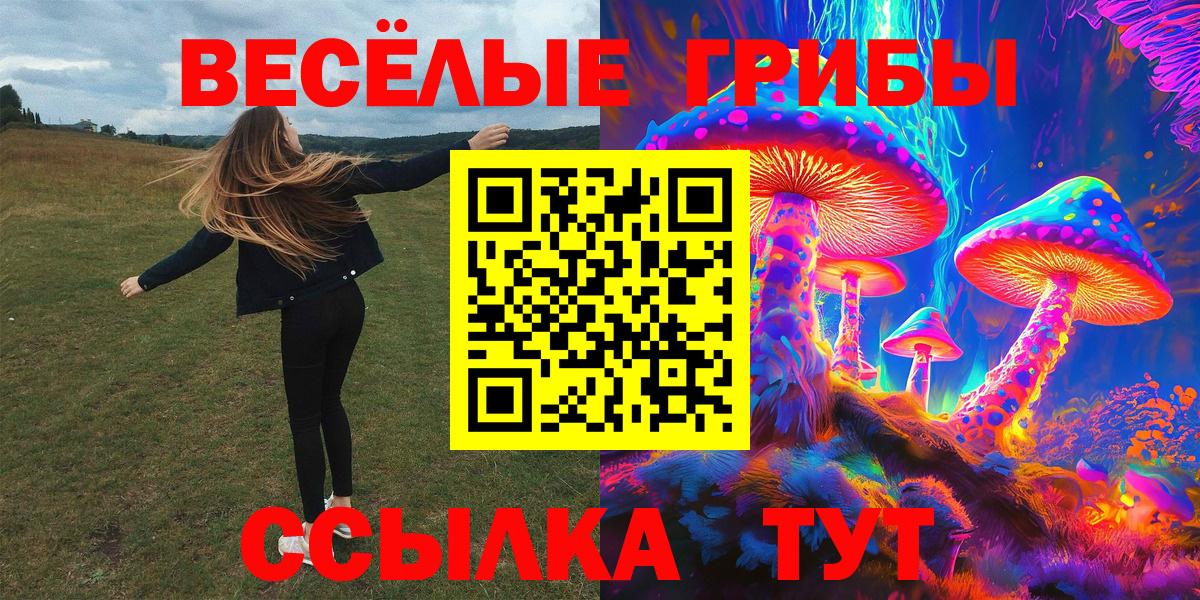 Псилоцибиновые грибы Psilocybe Арзамас